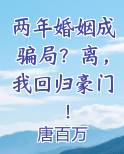 结婚两年多小说