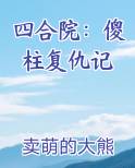 四合院：傻柱复仇记