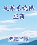 反派系统供应商全本免费阅读
