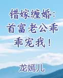 错嫁缠婚：首富老公乖乖宠我！