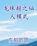龙珠超之仙人模式排行榜完结版