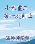 小米重工，第一次创业！