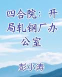 四合院：开局轧钢厂办公室小说免费阅读
