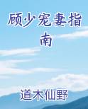 顾少宠妻 小说