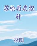 苏桧再度捏针