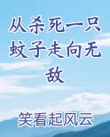 从杀死一只蚊子走向无敌