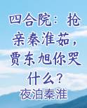 四合院贾梗小说