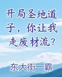 开局圣地道子，你让我走废材流？笔趣阁