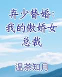 弃少替婚：我的傲娇女总裁