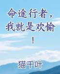 命途行者，我就是欢愉！