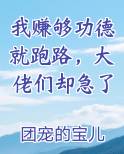 我赚够功德就跑路，大佬们却急了