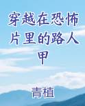穿越在恐怖片里的路人甲