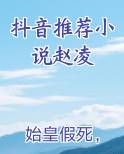 抖音推荐小说赵凌