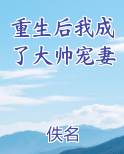 重生后我成了大帅宠妻在线阅读