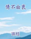 情不由衷陷入牢笼什么歌