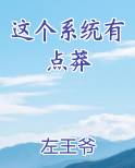 这个系统有点莽