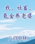 我，社畜，氪金养老婆免费下载