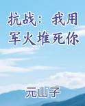 抗战：我用军火堆死你
