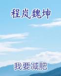 程岚魏坤