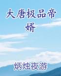 大唐极品帝婿