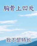 胸骨上凹处