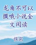 龙角不可以摸哦小说全文阅读