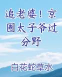 追老婆！京圈太子爷过分野
