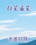 白星盗星免费小说