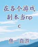 在游戏里当npc的那些年