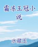 霜冻王冠小说