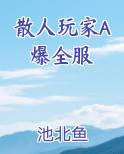 散人玩家A爆全服